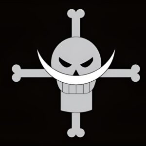 Drapeau Edward Newgate avec motif Jolly Roger Whitebeard, crâne et moustache caractéristique, toile polyester-coton